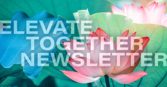 november 2025 newsletter banner